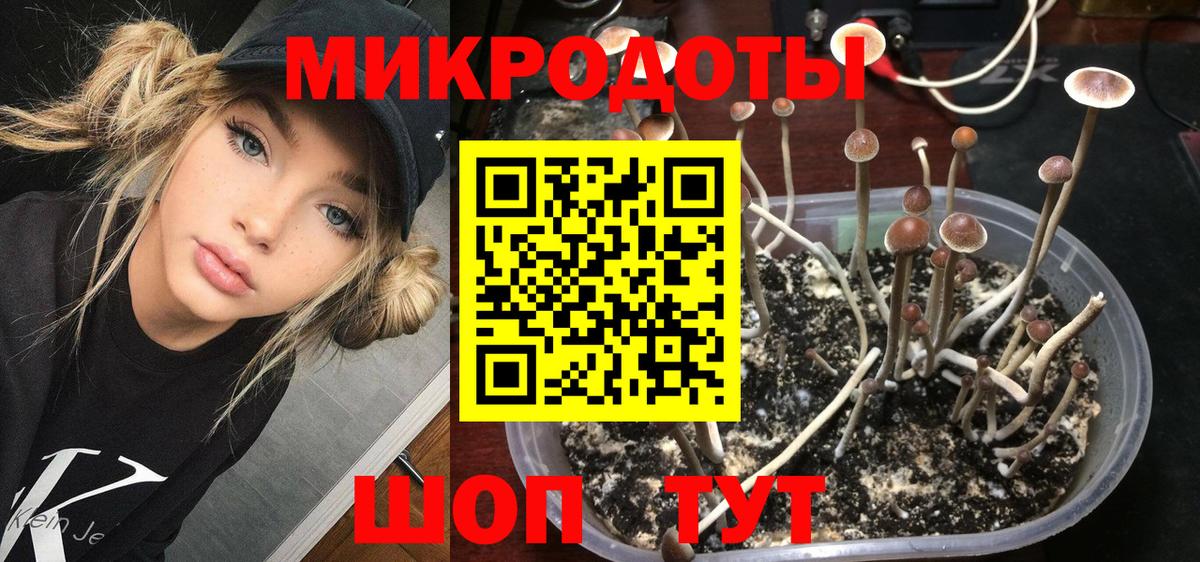 Горно-Алтайск  Псилоцибиновые грибы прущие грибы  Вход с VPN 