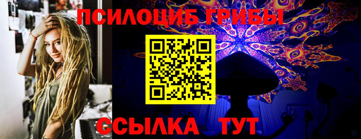 Псилоцибиновые грибы мицелий Горно-Алтайск